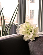 ��� ����������� �������� �������)