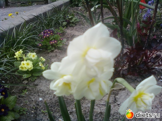 1 ����: �����