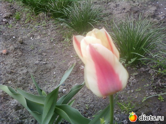 3 ����: �����