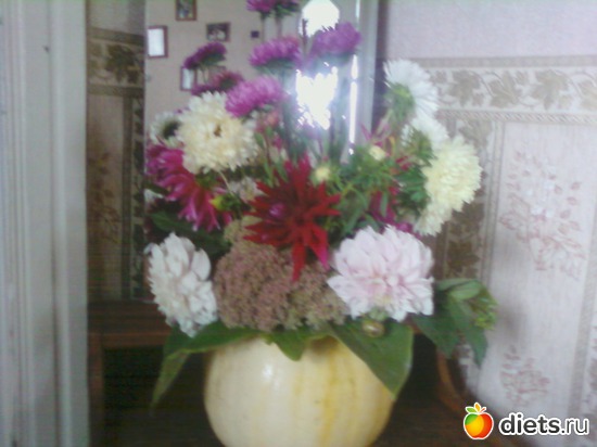 ������� ����� � �����, ������: �����