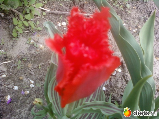 23 ����: �����