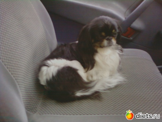 ���������������, ������: ������