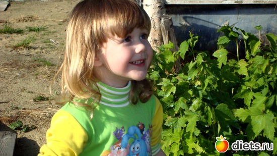 3 ����: ������ ����� �� ����, � ����.