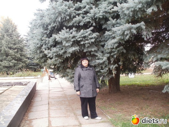 23 ����: ���������. ������ 2011