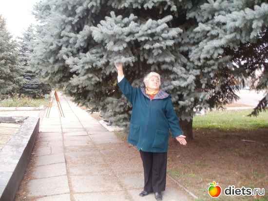 24 ����: ���������. ������ 2011