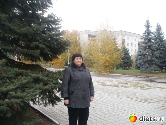 26 ����: ���������. ������ 2011