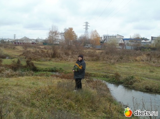 ��������� ������� �����, ������: ���������. ������ 2011