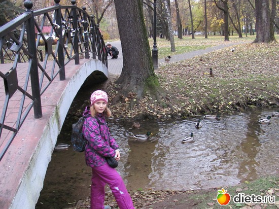 ����, ������: ������� ���������...