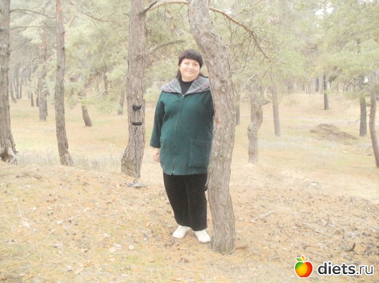 4 ����: ���������. ������ 2011