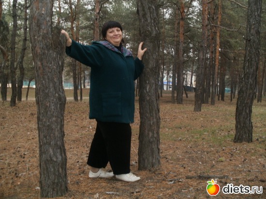 5 ����: ���������. ������ 2011