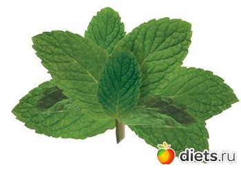 �������������