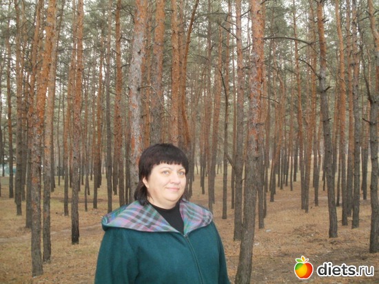 8 ����: ���������. ������ 2011