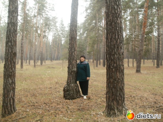 14 ����: ���������. ������ 2011