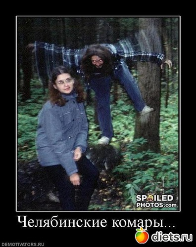 6 ����: ����������,�������))))))