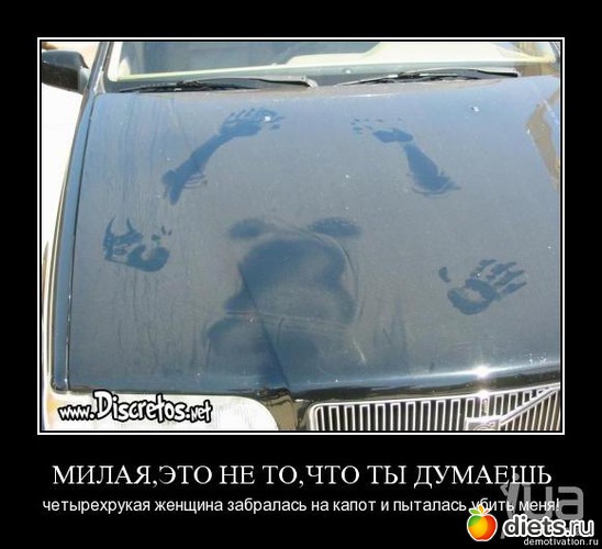 12 ����: ����������,�������))))))