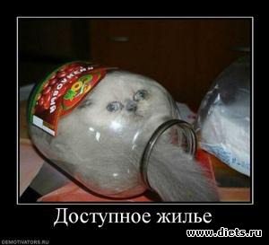 ����������,�������))))))