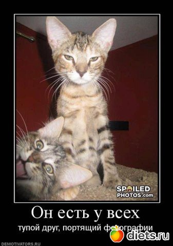 ����������,�������))))))