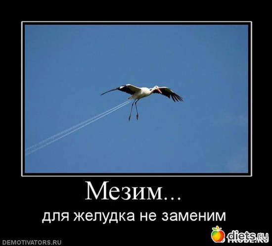 36 ����: ����������,�������))))))