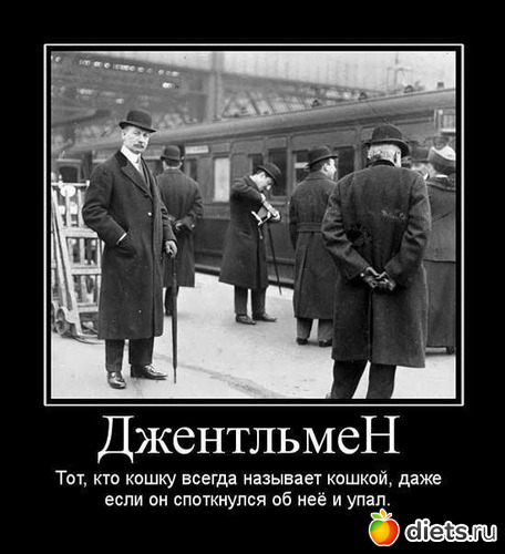 42 ����: ����������,�������))))))