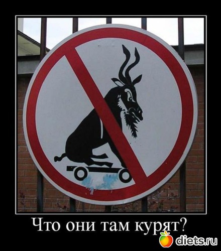 44 ����: ����������,�������))))))