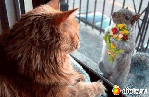 �������� ��� ������