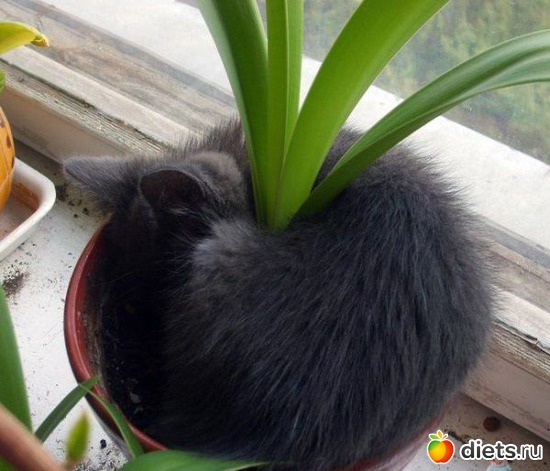 31 фото: картинки для постов