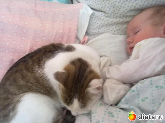 10 ����: ��� �����