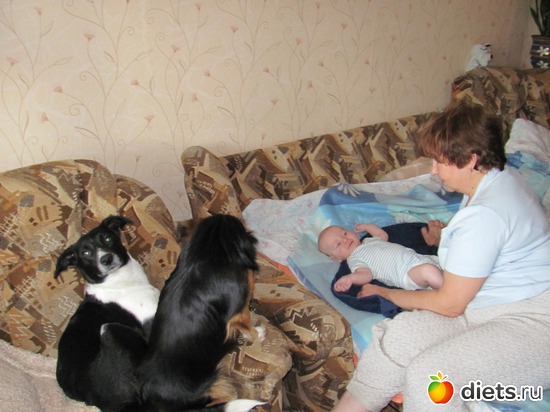 ������, ������: ������� ���������...