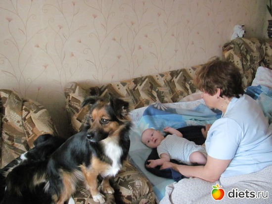 �������, ������: ������� ���������...