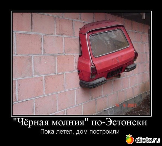 48 ����: ����������,�������))))))