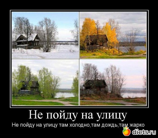 51 ����: ����������,�������))))))