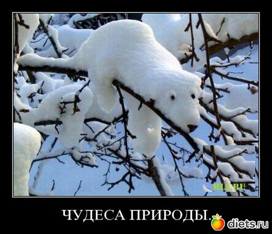 52 ����: ����������,�������))))))