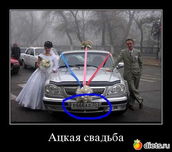 53 ����: ����������,�������))))))