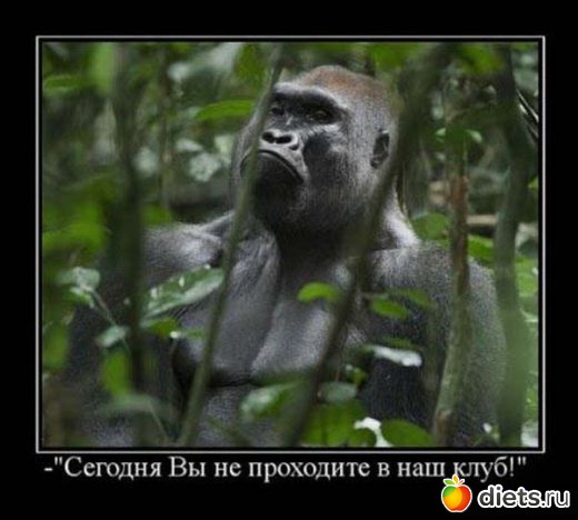 ����������,�������))))))