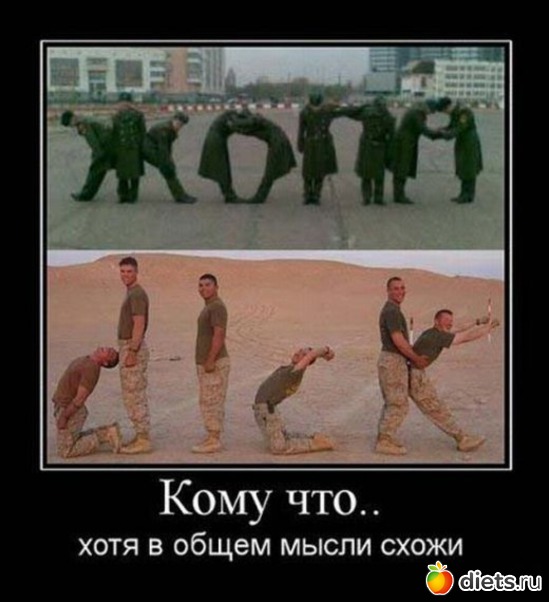 61 ����: ����������,�������))))))