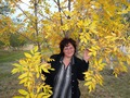 tomilla - Тамара