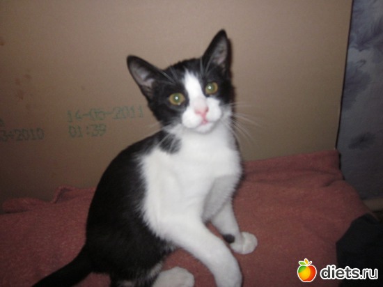 15 ����: � � �� ������� ���������...