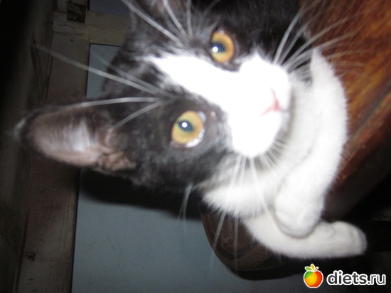 ��� ��������� �������� ����, ������: � � �� ������� ���������...