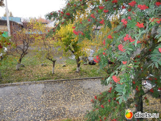 �������� �� �����, ������: ����� 2011