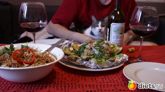 2 фото: Кошки и собаки! Все наши!