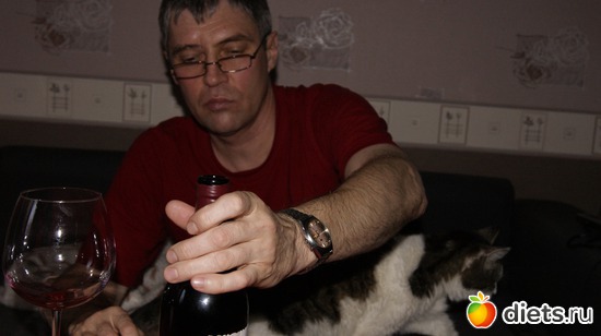 8 фото: Кошки и собаки! Все наши!