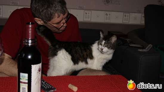 10 фото: Кошки и собаки! Все наши!