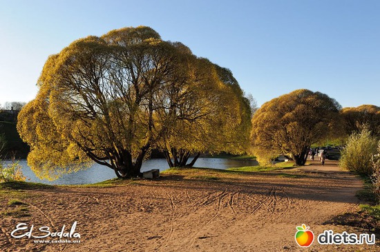 Осенняя красота, альбом: Осень в Нарве. Эстония. Работы Eduard Sadala.