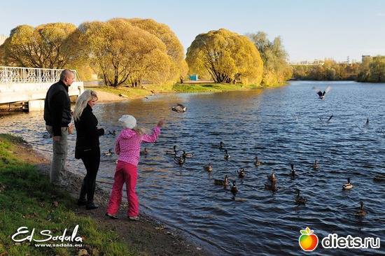 Уточки в Липовой ямке, альбом: Осень в Нарве. Эстония. Работы Eduard Sadala.