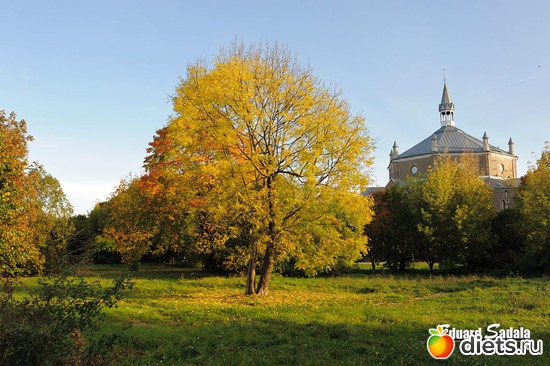 14 фото: Осень в Нарве. Эстония. Работы Eduard Sadala.