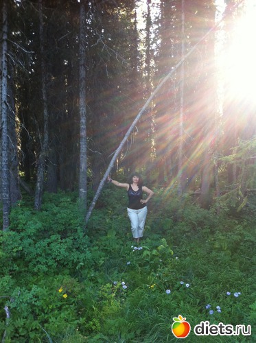 2 ����: �������� ����, �������� 2011