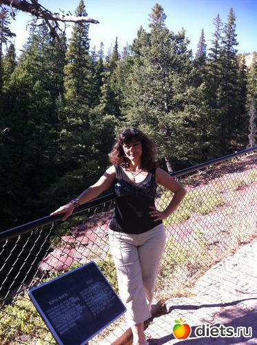 3 ����: �������� ����, �������� 2011