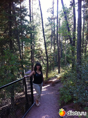 4 ����: �������� ����, �������� 2011