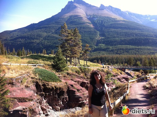 5 ����: �������� ����, �������� 2011