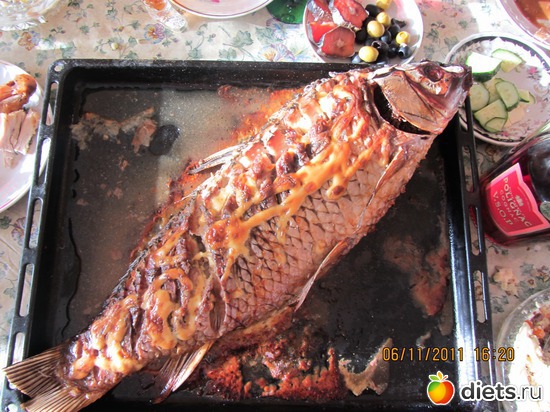 ����������� ����� - �������� ����� ����� �������, ������: ���� ��������  6 ������ 2011